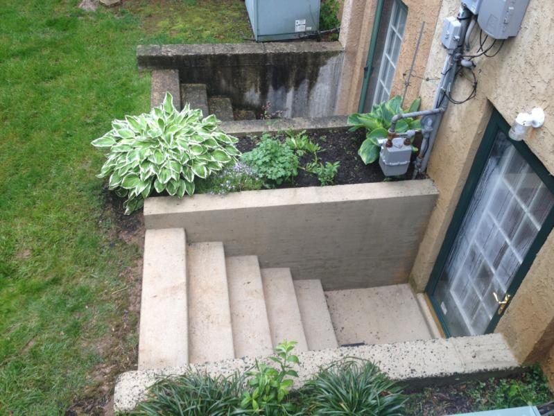 Concrete Steps Exterior