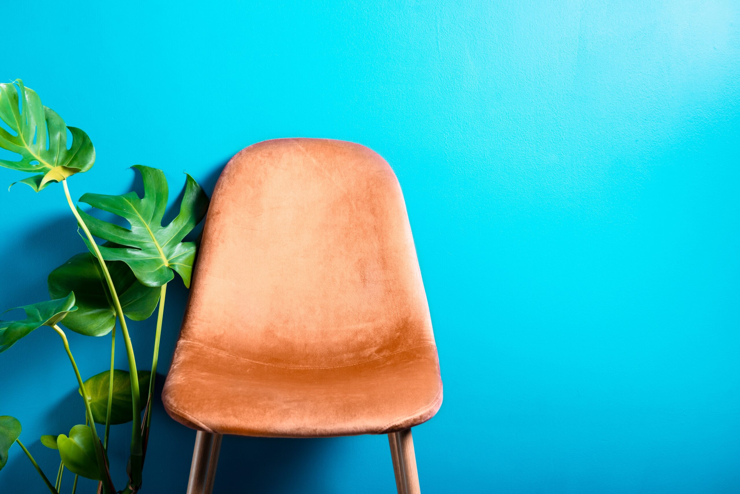 New Paint Colors For 2024 Vakantie Zelma Katuscha